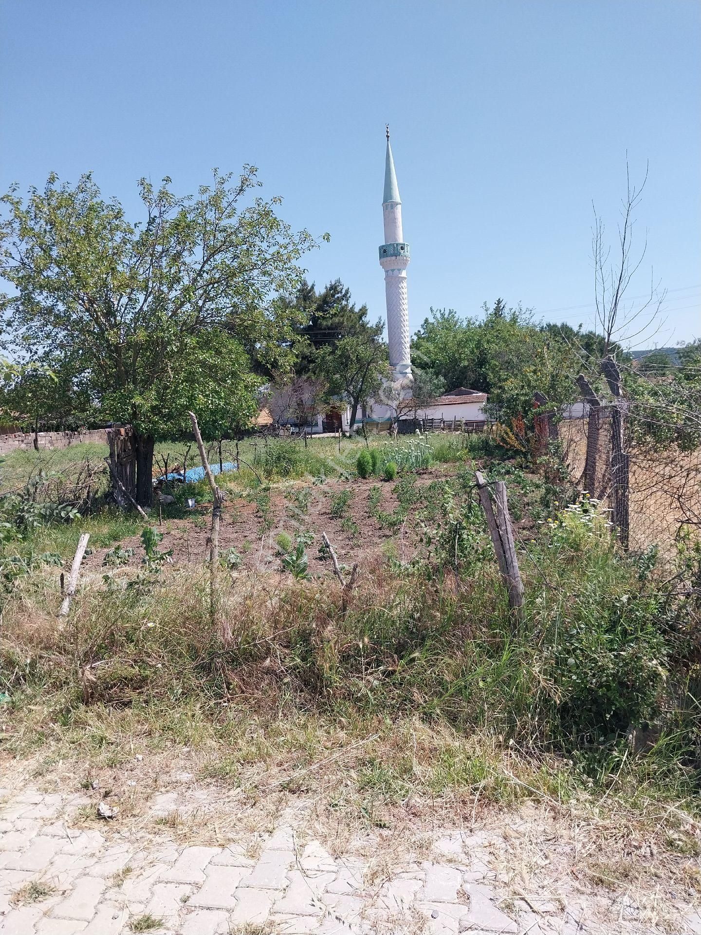 Süleymanpaşa Banarlı Satılık Konut İmarlı Tekirdağ Süleymanpaşa Gayrimenkulden Satılık arsa banarlı mah 1062m2arsa köy içinde 