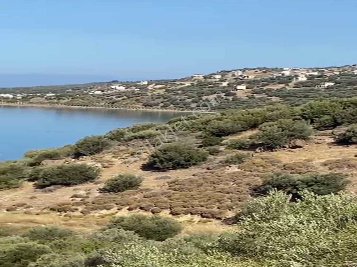 Dikili Çandarlı Satılık Villa İmarlı Dikili Çandarlı’da Satılık Deniz Manzaralı Villa Arsası