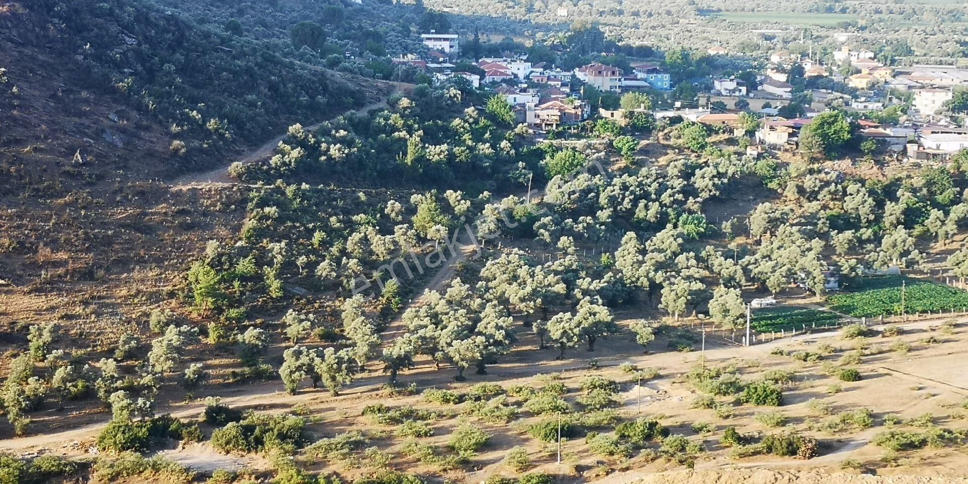 Köy Yerleşik Alanı İçerisinde 4613 M² Satılık Arazi - Görsel 6