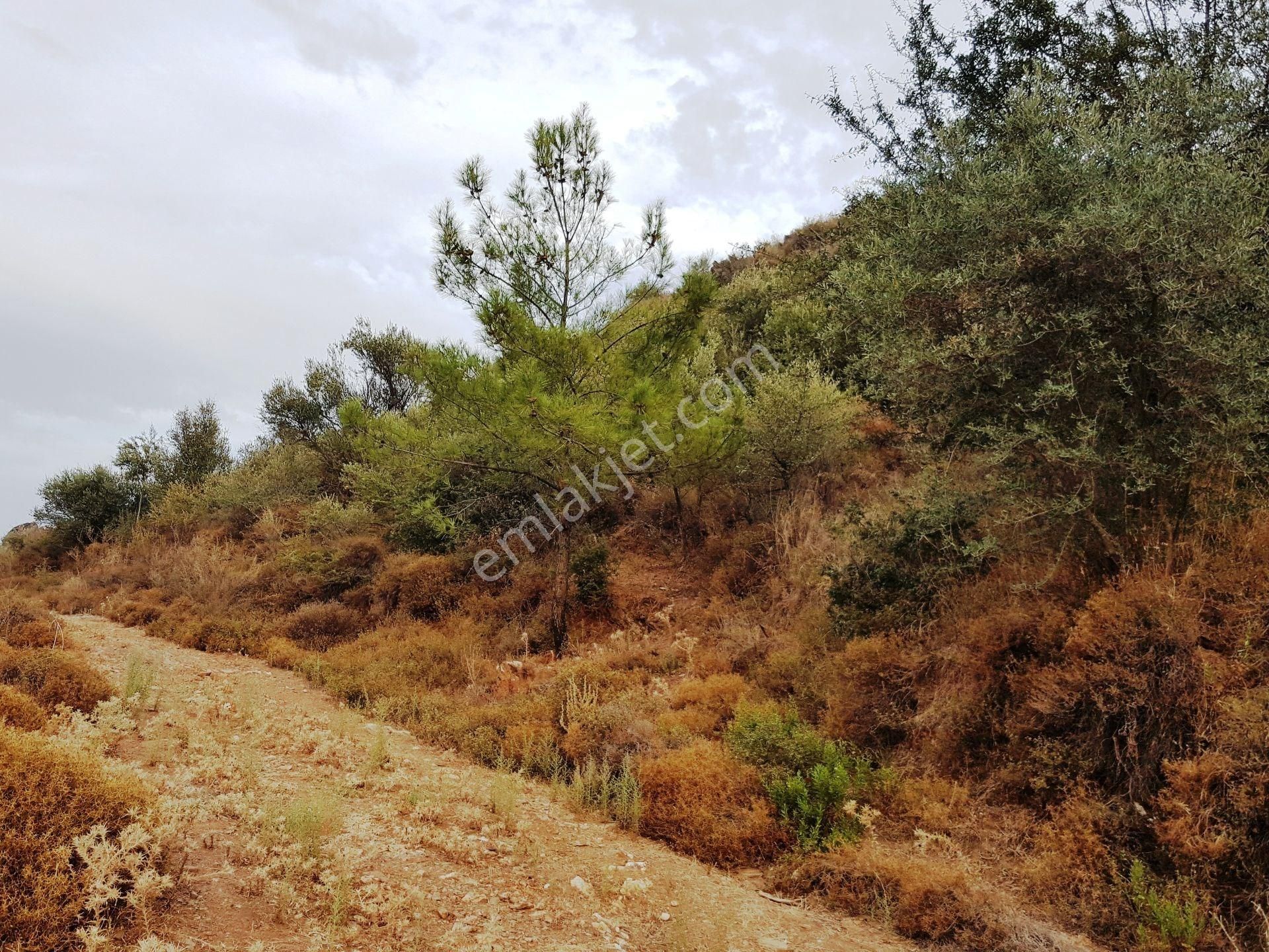 Köy Yerleşik Alanı İçerisinde 4613 M² Satılık Arazi - Görsel 4