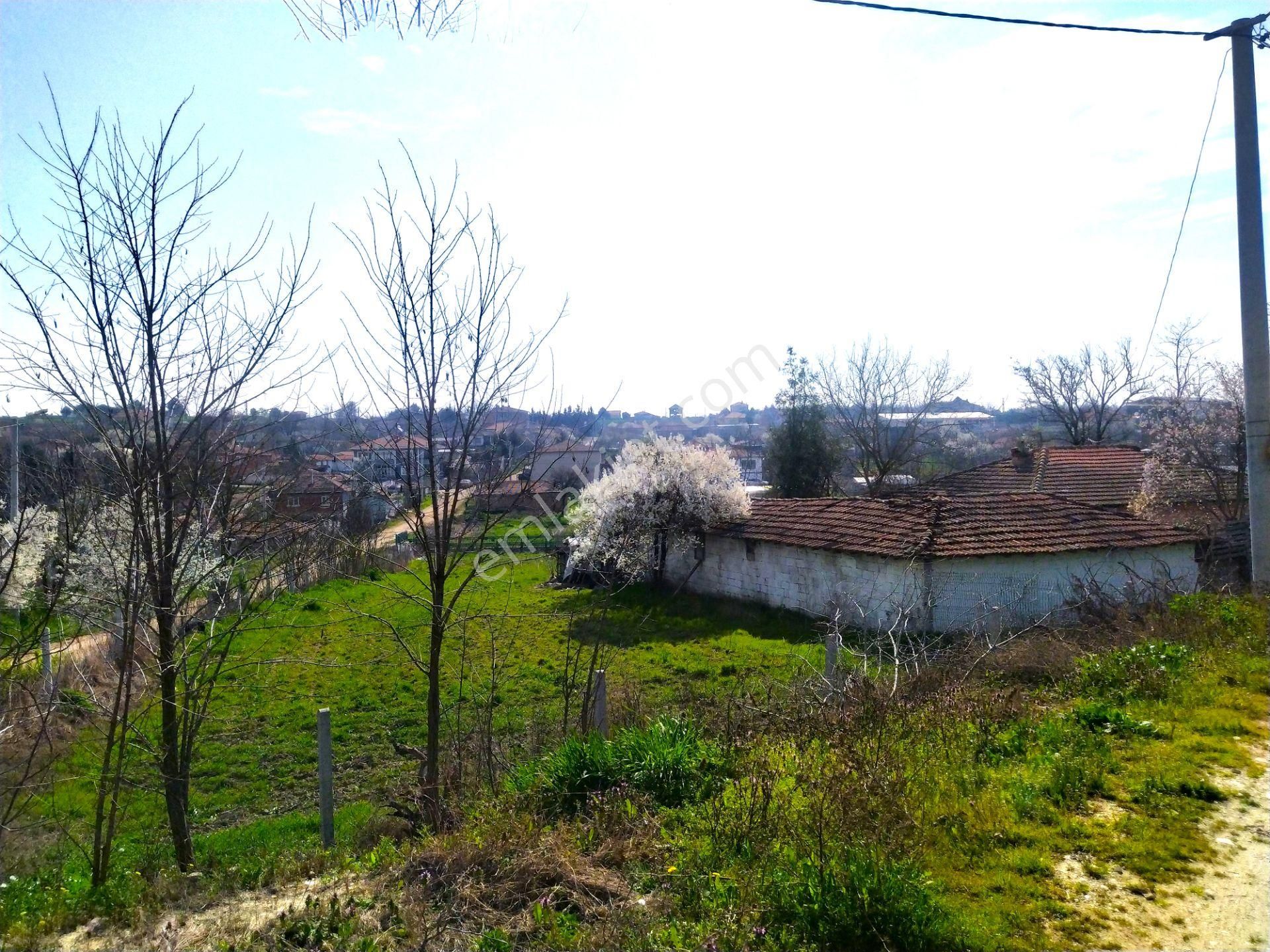 Lüleburgaz Ayvalı Köyü Satılık Konut İmarlı  Kırklareli,Lüleburgaz, Ayvalı Köyü'nde 1270 M2 Köşe Parsel Arsa