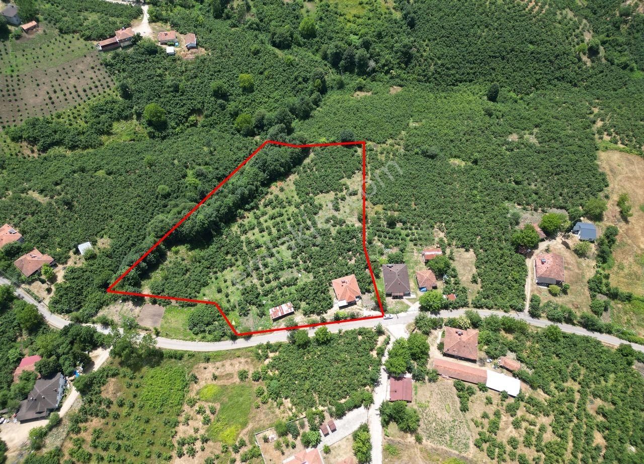 Hendek Hacimbey Satılık Konut İmarlı  HENDEK    HACIMBEY KÖYÜ'NDE 13.505 M2    SATILIK ARSA VE MÜSTAKİL EV 