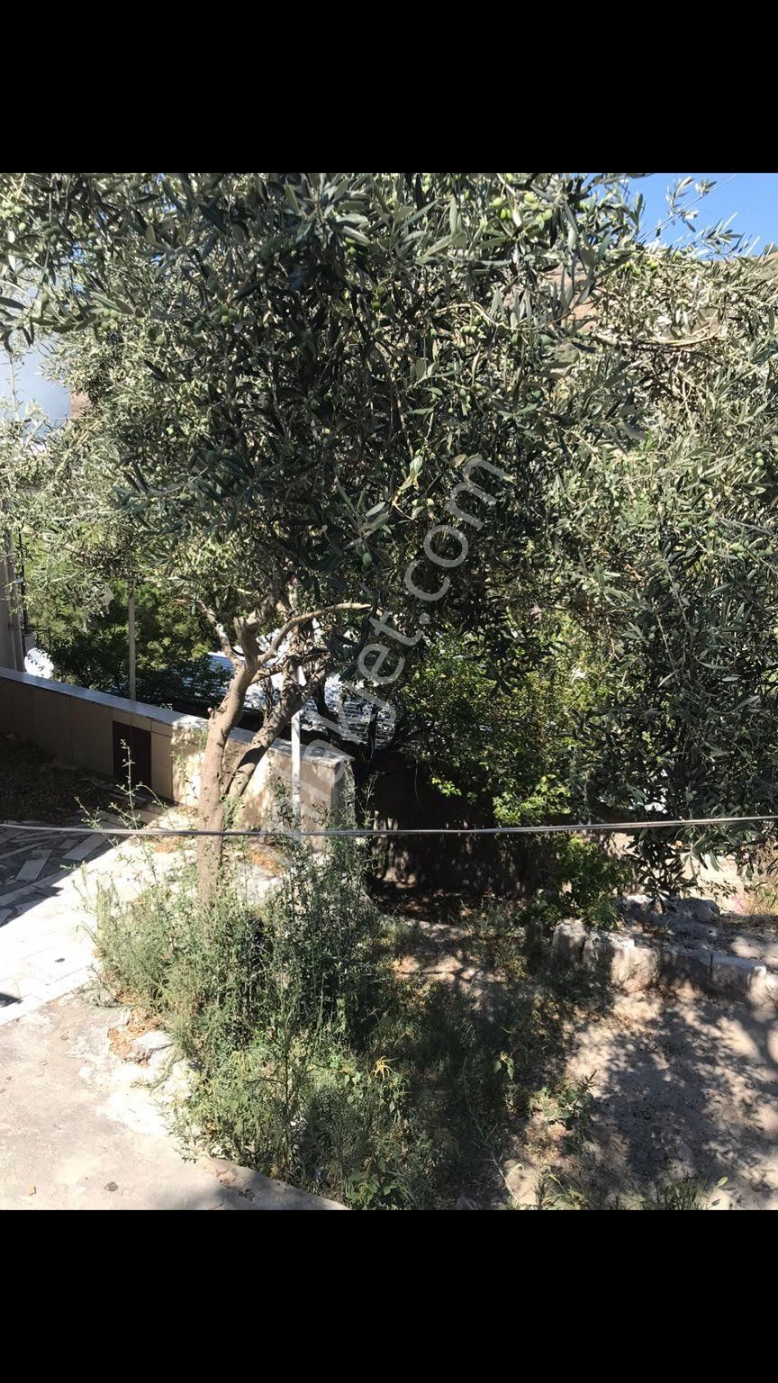 Bergama,şadırvan Camii Mevkii,satılık Bahçeli Müstakil Ev - Görsel 2