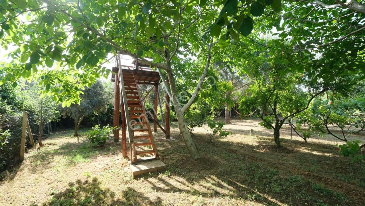 Keşan Sazlıdere'de Denize Çok Yakın Satılık Muhteşem Arazi, Çiftlik Evi Ve Restoran - Görsel 5