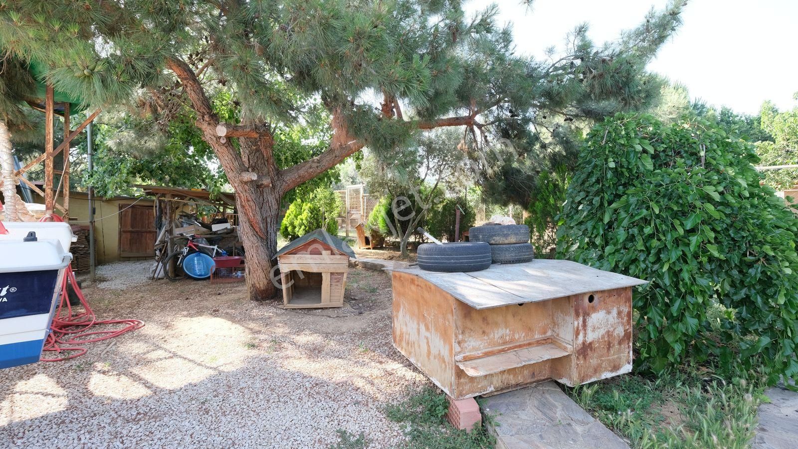 Keşan Sazlıdere'de Denize Çok Yakın Satılık Muhteşem Arazi, Çiftlik Evi Ve Restoran - Görsel 11