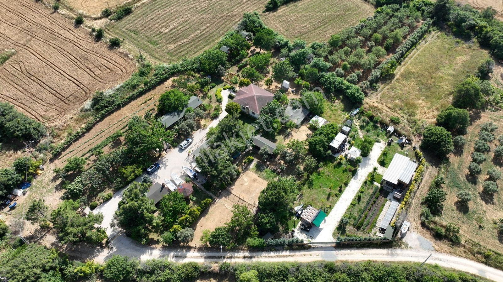 Keşan Sazlıdere'de Denize Çok Yakın Satılık Muhteşem Arazi, Çiftlik Evi Ve Restoran - Görsel 29