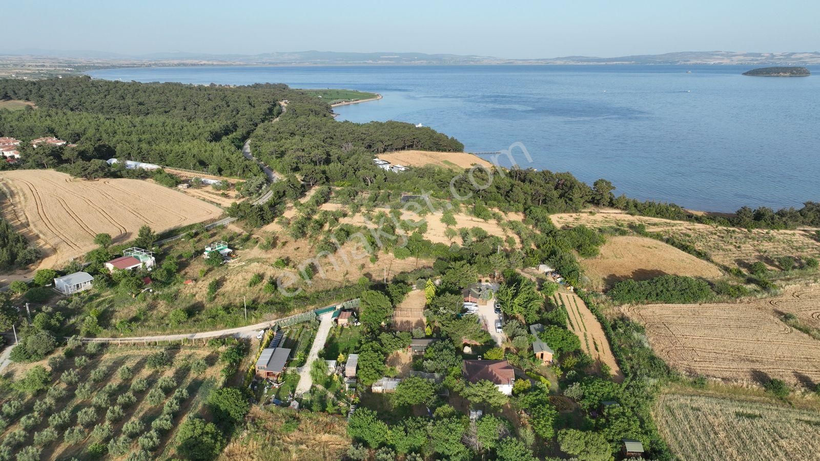 Keşan Sazlıdere'de Denize Çok Yakın Satılık Muhteşem Arazi, Çiftlik Evi Ve Restoran - Görsel 33