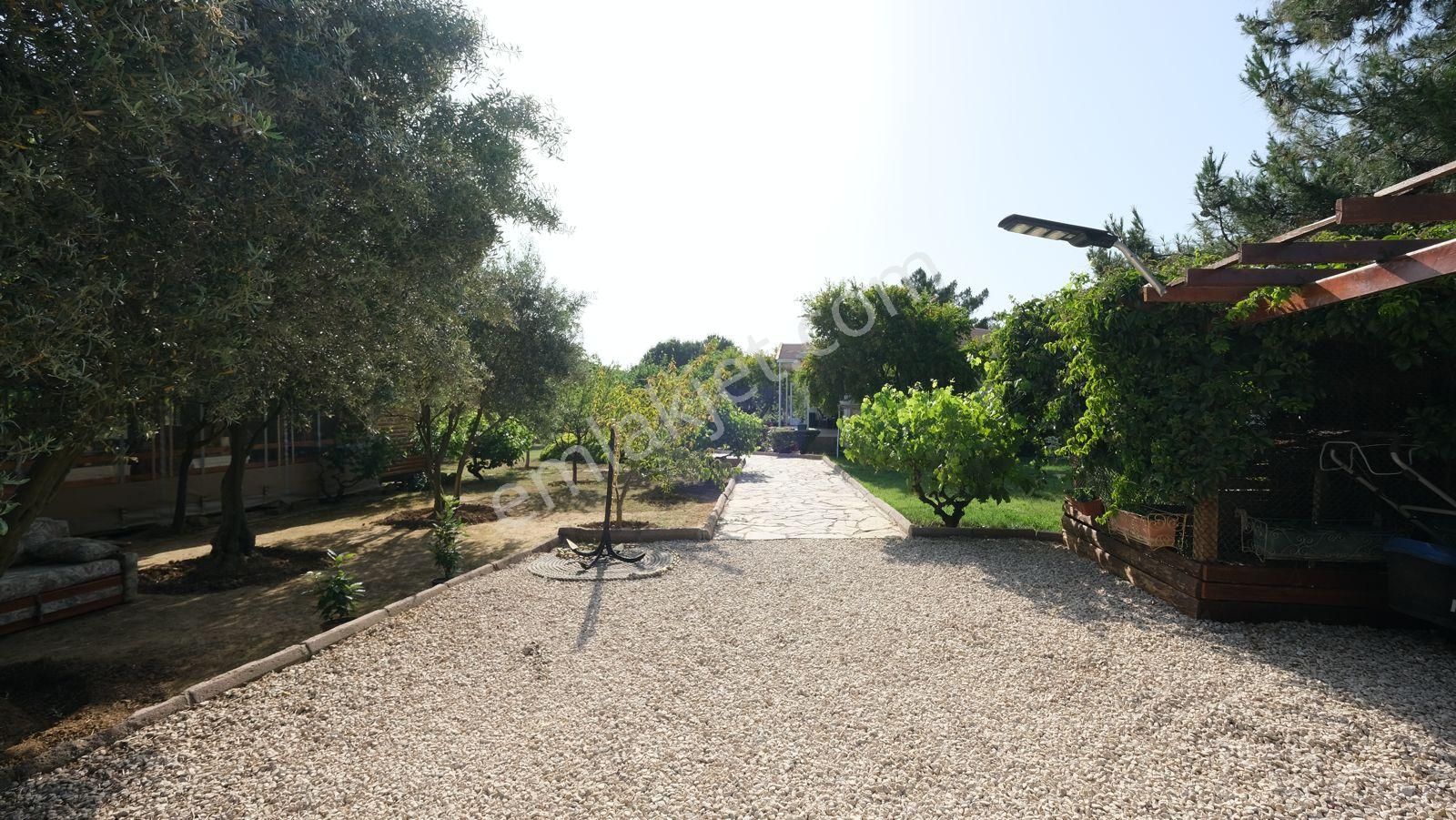 Keşan Sazlıdere'de Denize Çok Yakın Satılık Muhteşem Arazi, Çiftlik Evi Ve Restoran - Görsel 16