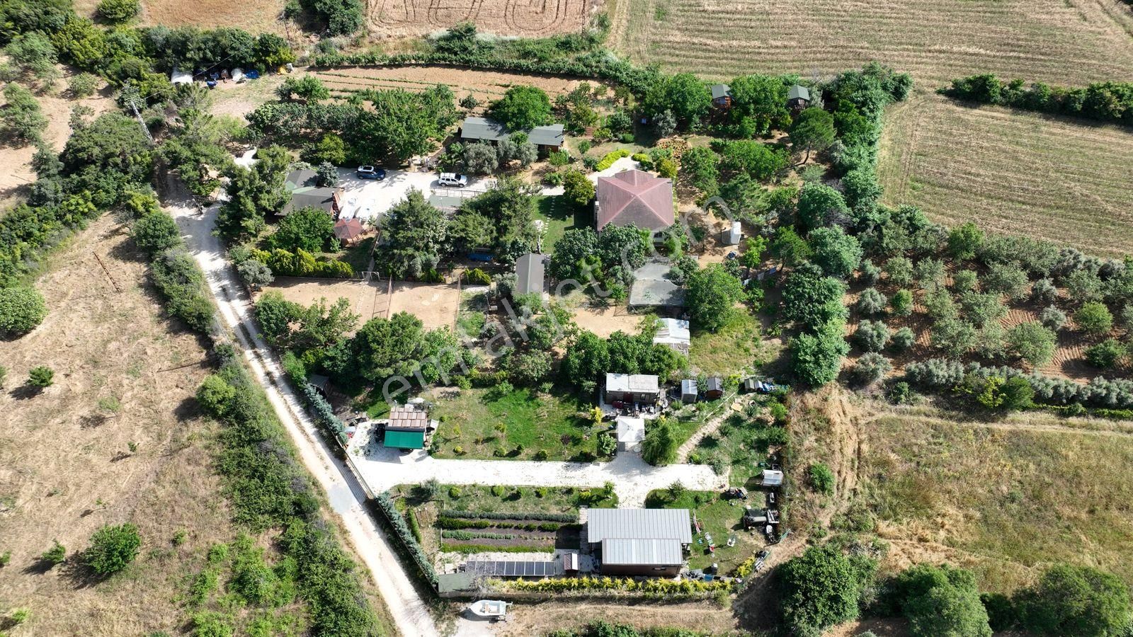 Keşan Sazlıdere'de Denize Çok Yakın Satılık Muhteşem Arazi, Çiftlik Evi Ve Restoran - Görsel 27