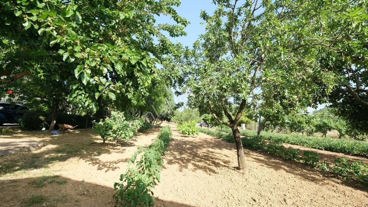 Keşan Sazlıdere'de Denize Çok Yakın Satılık Muhteşem Arazi, Çiftlik Evi Ve Restoran - Görsel 8