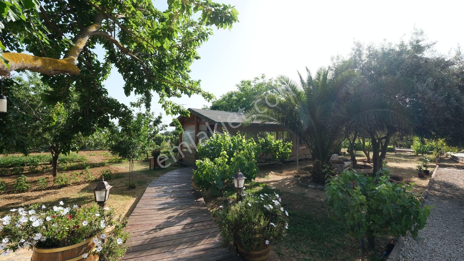 Keşan Sazlıdere'de Denize Çok Yakın Satılık Muhteşem Arazi, Çiftlik Evi Ve Restoran - Görsel 14