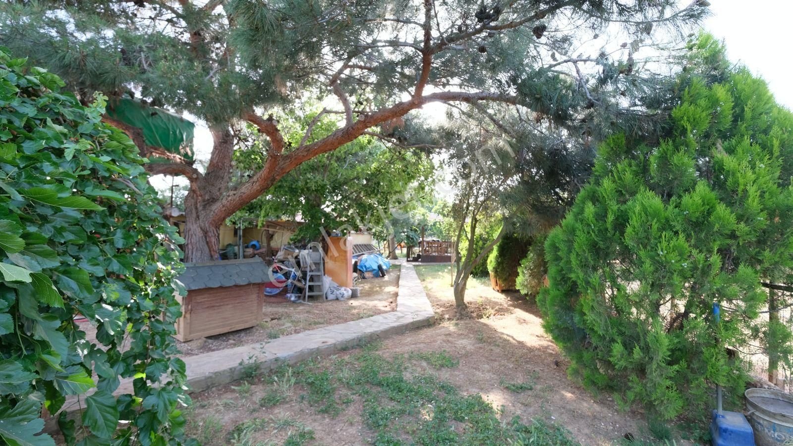 Keşan Sazlıdere'de Denize Çok Yakın Satılık Muhteşem Arazi, Çiftlik Evi Ve Restoran - Görsel 19