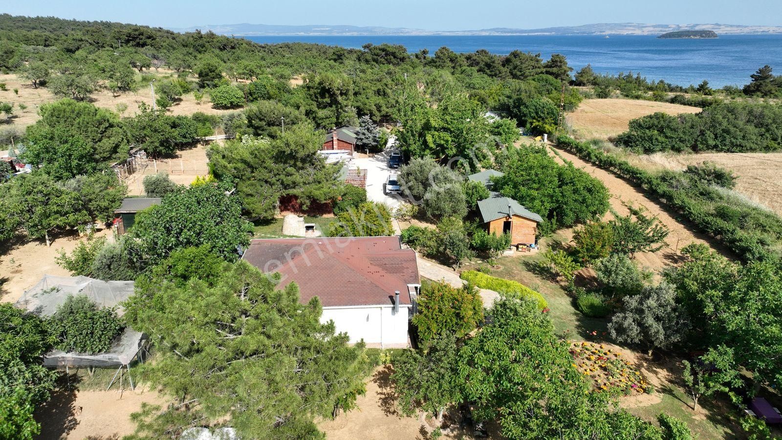 Keşan Sazlıdere'de Denize Çok Yakın Satılık Muhteşem Arazi, Çiftlik Evi Ve Restoran - Görsel 30