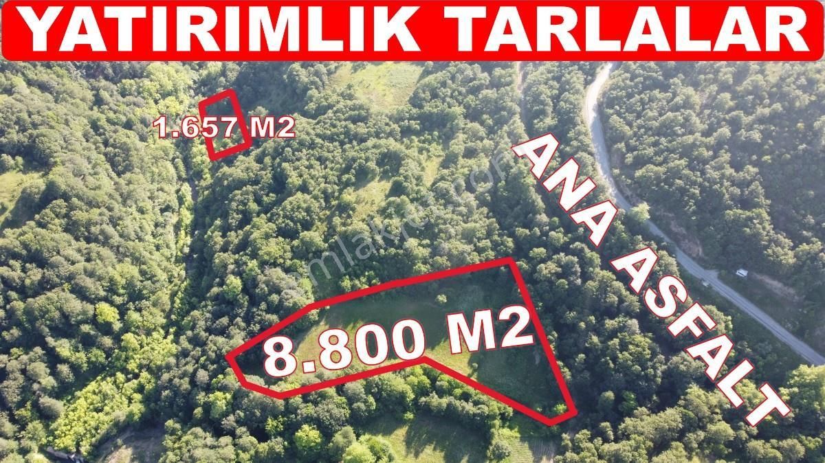 Gönen Beyoluk Satılık Tarla 10.457 m2 Yatırımlık Tarla Bağ-Bahçe Ormana Cepheli Özel Yol var