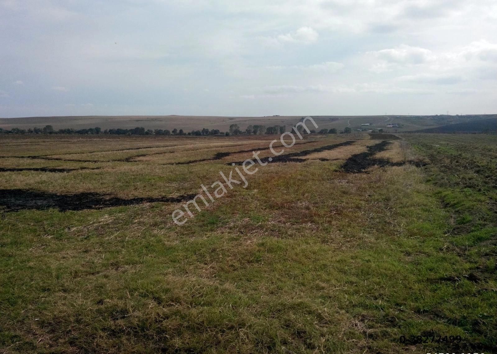 Lüleburgaz Çeşmekolu Köyü Satılık Bağ & Bahçe KIRKLARELİ LÜLEBURGAZDA YATIRIMA UYGUNSATILIK TARLA