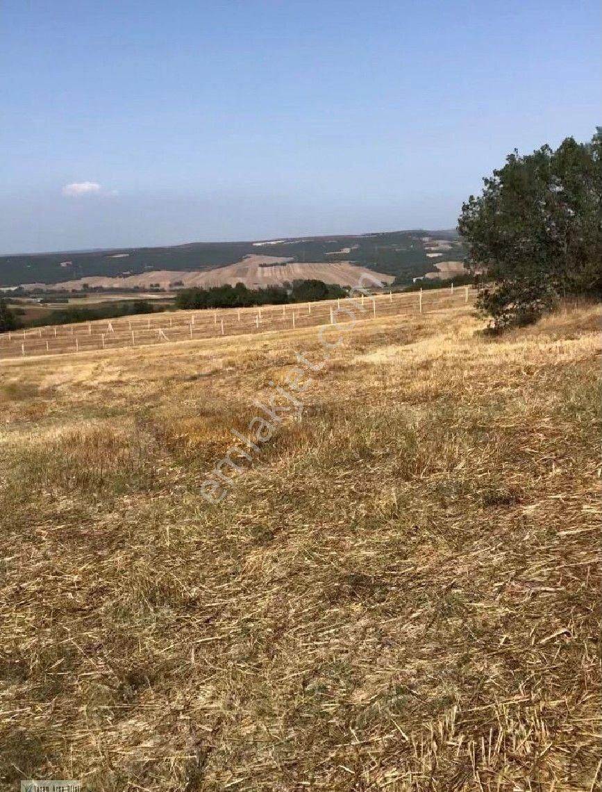 Silivri Çanta Balaban Satılık Tarla Silivri Çanta Balabanda 4200 M2 Müstakil Sahibinden Acil Satılık Tarla