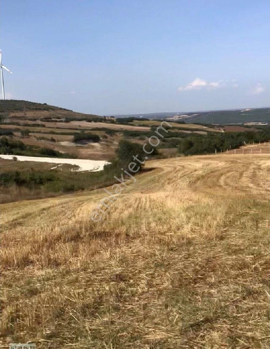 Silivri Çanta Balabanda 4200 M2 Müstakil Sahibinden Acil Satılık Tarla - Görsel 4