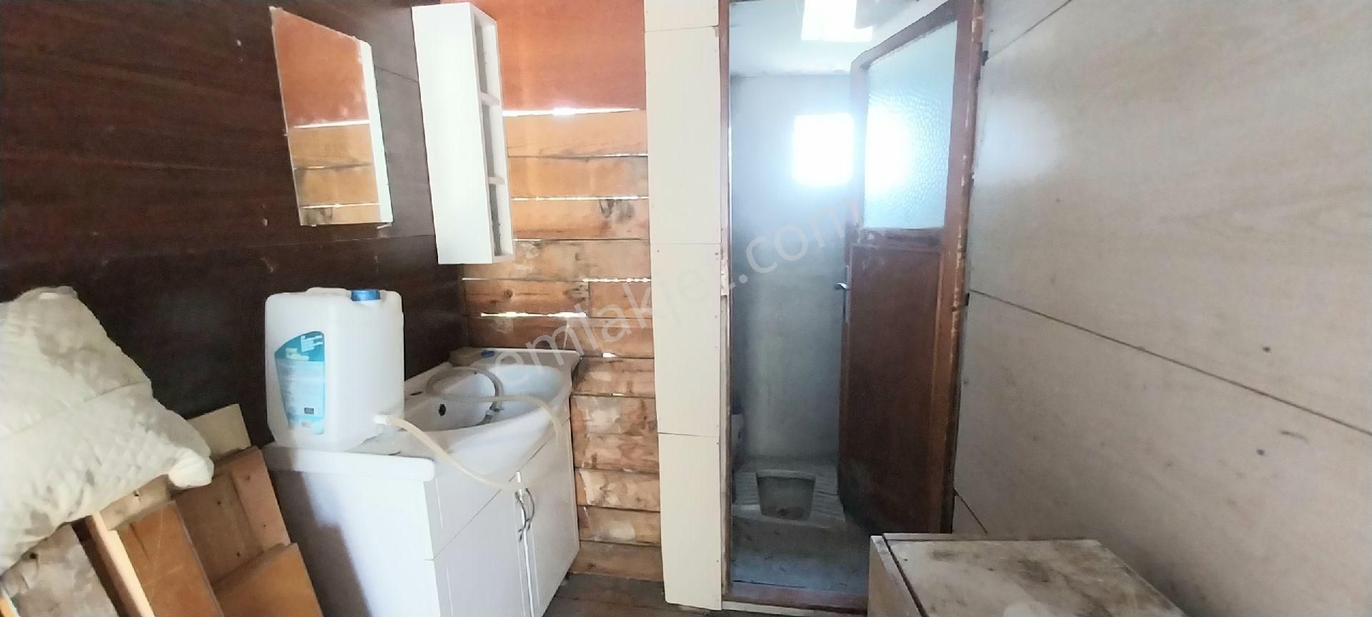 #satılık# Mudanya Dereköy Mahallesinde Satılık Zeytinlik - Görsel 9