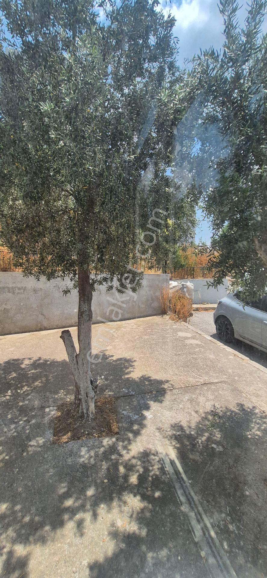 Bornova Evka-4 De 2+1 Satılık Daire.. - Görsel 19