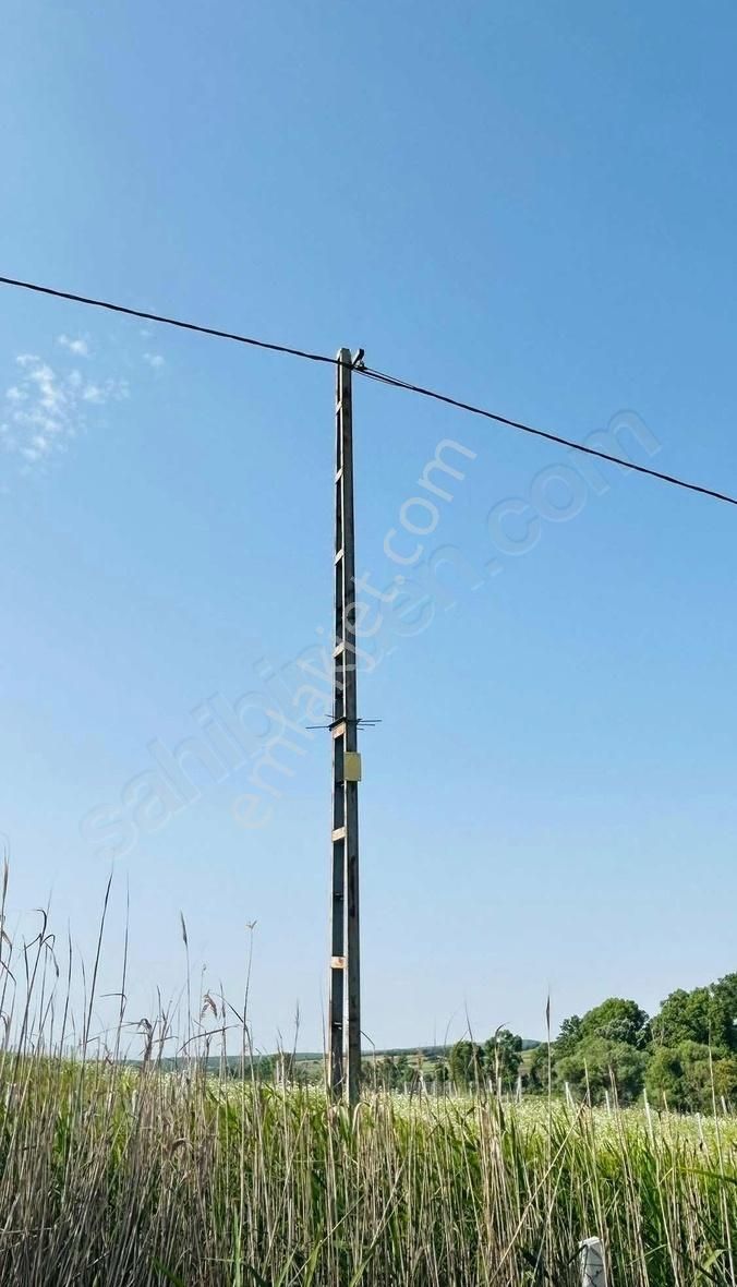 Yol Ve Elektrik Başında Fırsat Arsa - Görsel 10