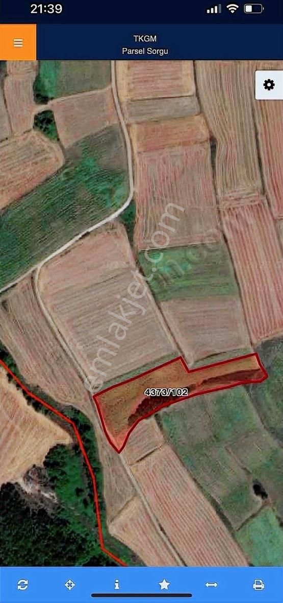 Sılıvrı Büyük Sineklide Satılık 1400 - Görsel 3