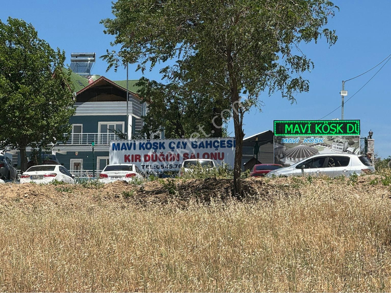 Merzifon Gazimahbup Satılık Bağ & Bahçe MERZİFONDA SATILIK BAĞ