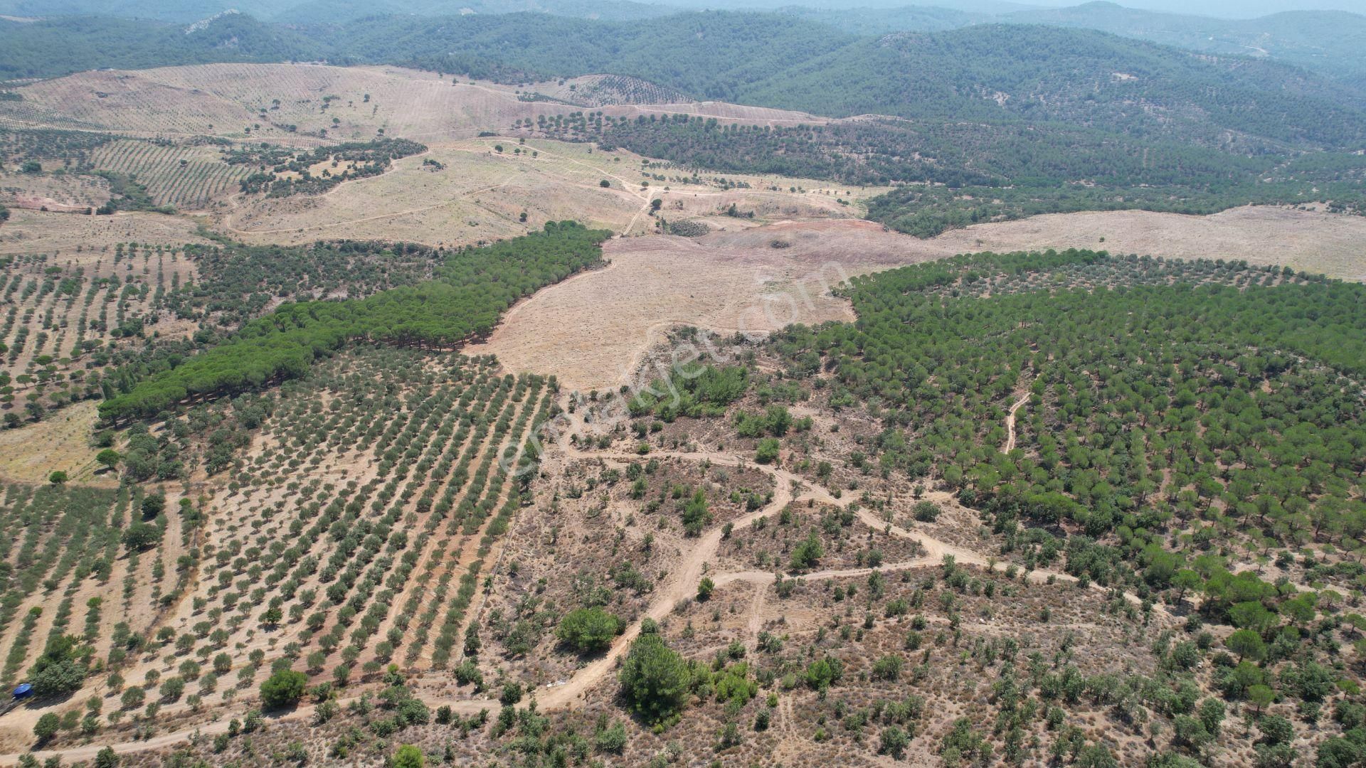 Gömeç Ulubeyler Satılık Muhtelif Arsa  BALIKESİR GÖMEC TE SATILIK 63,978 METRE KARE SATILIK ARSA.