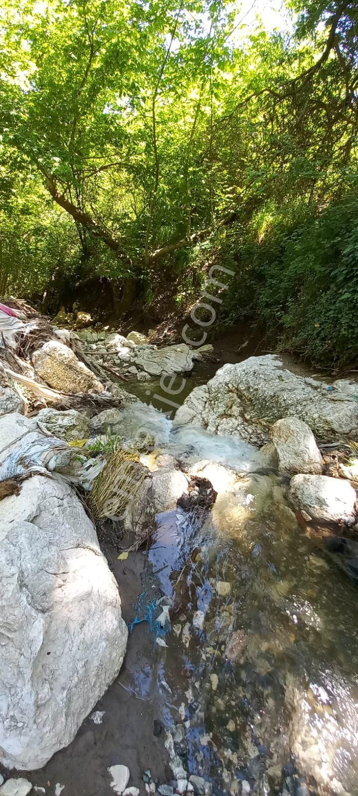 Burdur Merkez Kayış Köyü Satılık Tarla AKARSUYA CEPHE DOĞA MANZARALI 