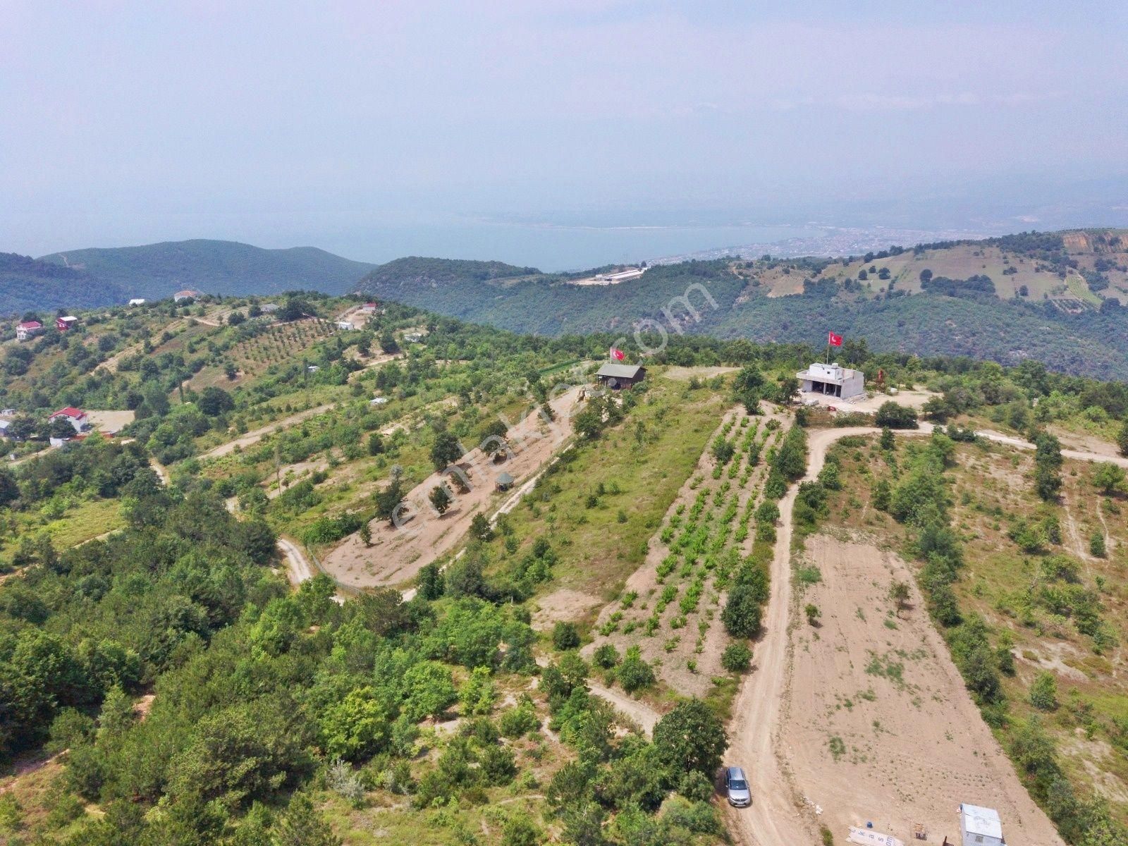 Yenişehir Kızılhisar Satılık Bağ & Bahçe  YENİŞEHİR KIZILHİSAR'DA DOĞA VE GÖL MANZARALI  4404,m2-ÜZÜM BAĞI