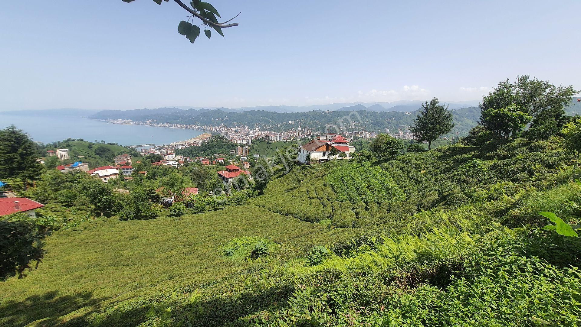 Rize Merkez Değirmendere Satılık Tarla Tek hisse, Villaya uygun, Sahibinden