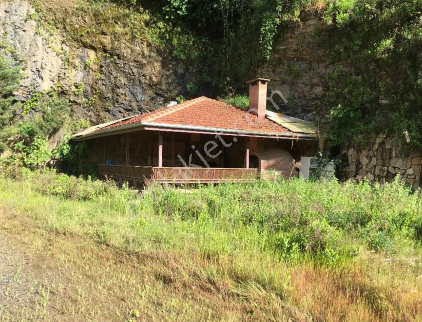 Alanya Üzümlüde Satılık Bahçe - Görsel 8