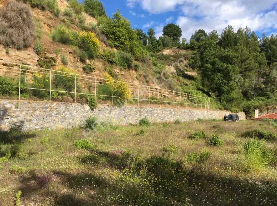 Alanya Üzümlüde Satılık Bahçe - Görsel 3