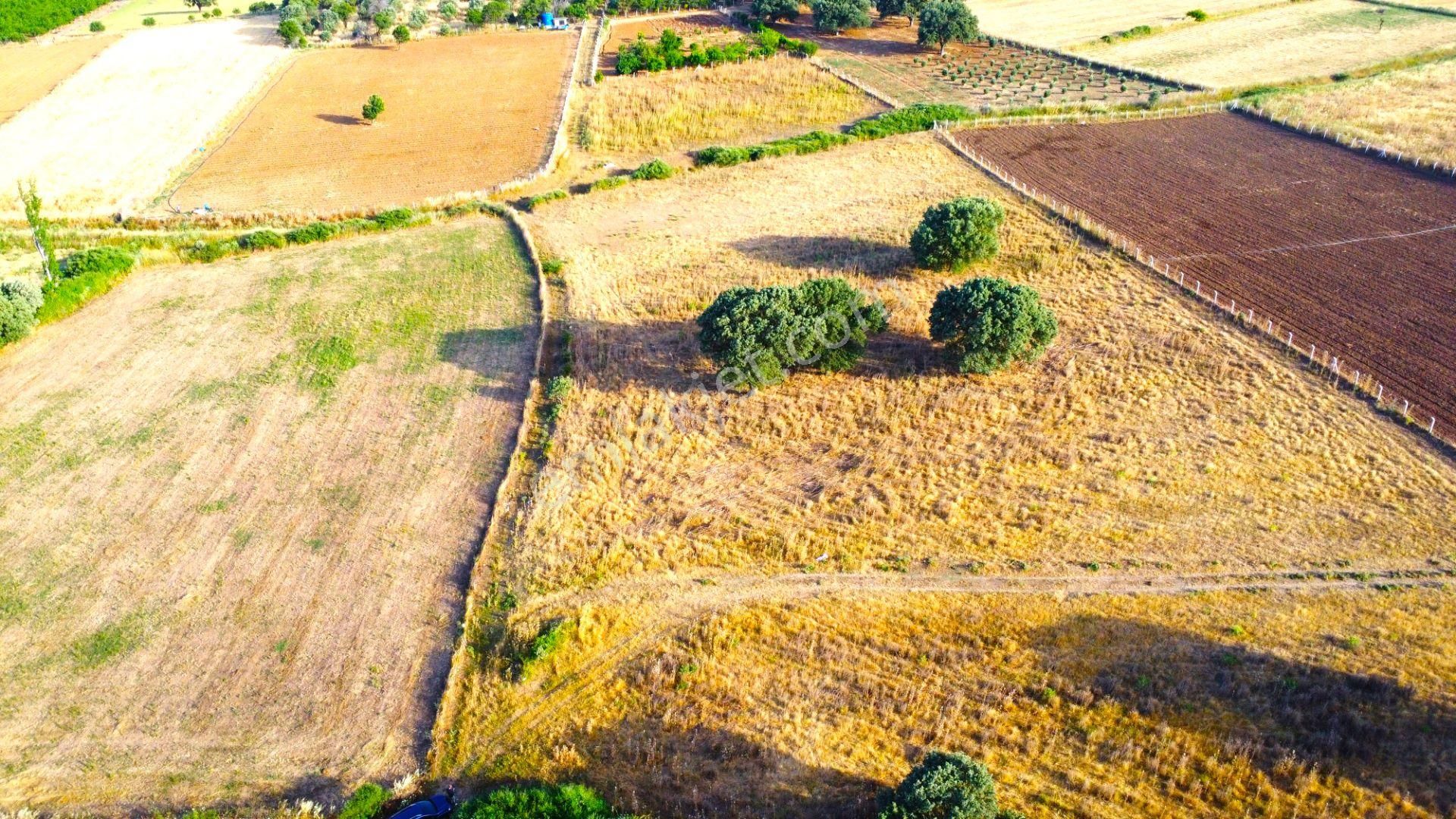 Burhaniye Şahinler Satılık Tarla  ◀◀🟢 AKTİF'TEN ŞAHİNLER KÖYÜNDE KAÇIRILMAYACAK FIRSATTA 4.457 M2 SATILIK HARİKA TARLA ◀◀🟢