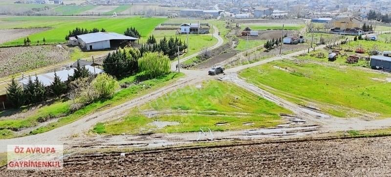 Kırklareli Merkez Kavaklı Bld. (Celaliye) Satılık Konut İmarlı KAVAKLI TOKİNİN YAKININDA SATILIK ARSA 515 M2 MÜSTAKİL KÖŞEBAŞI