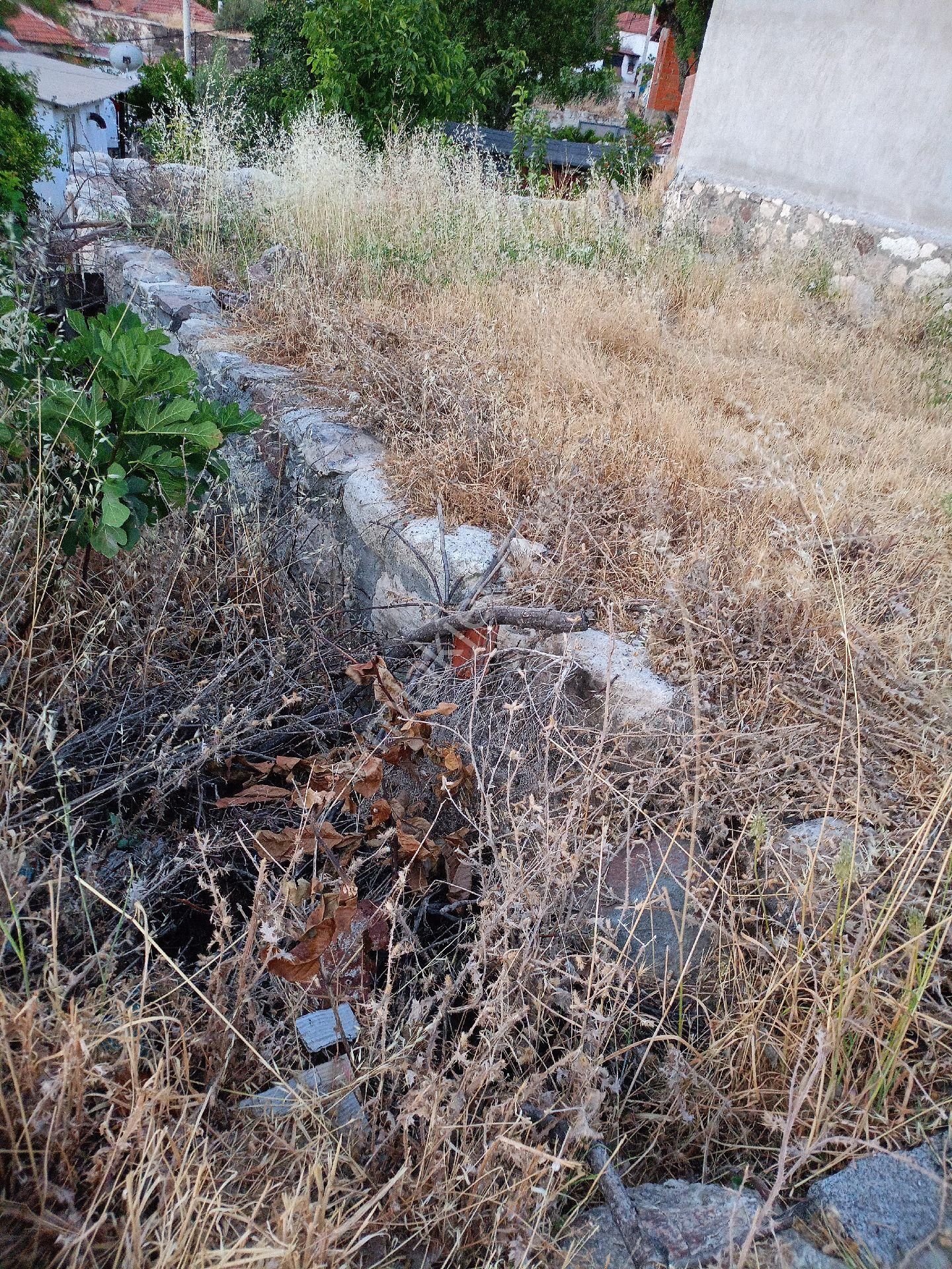 Bergama Koyuneli Satılık Müstakil Ev koyuneli köyünde satılık yıkık köy evi ve arsası