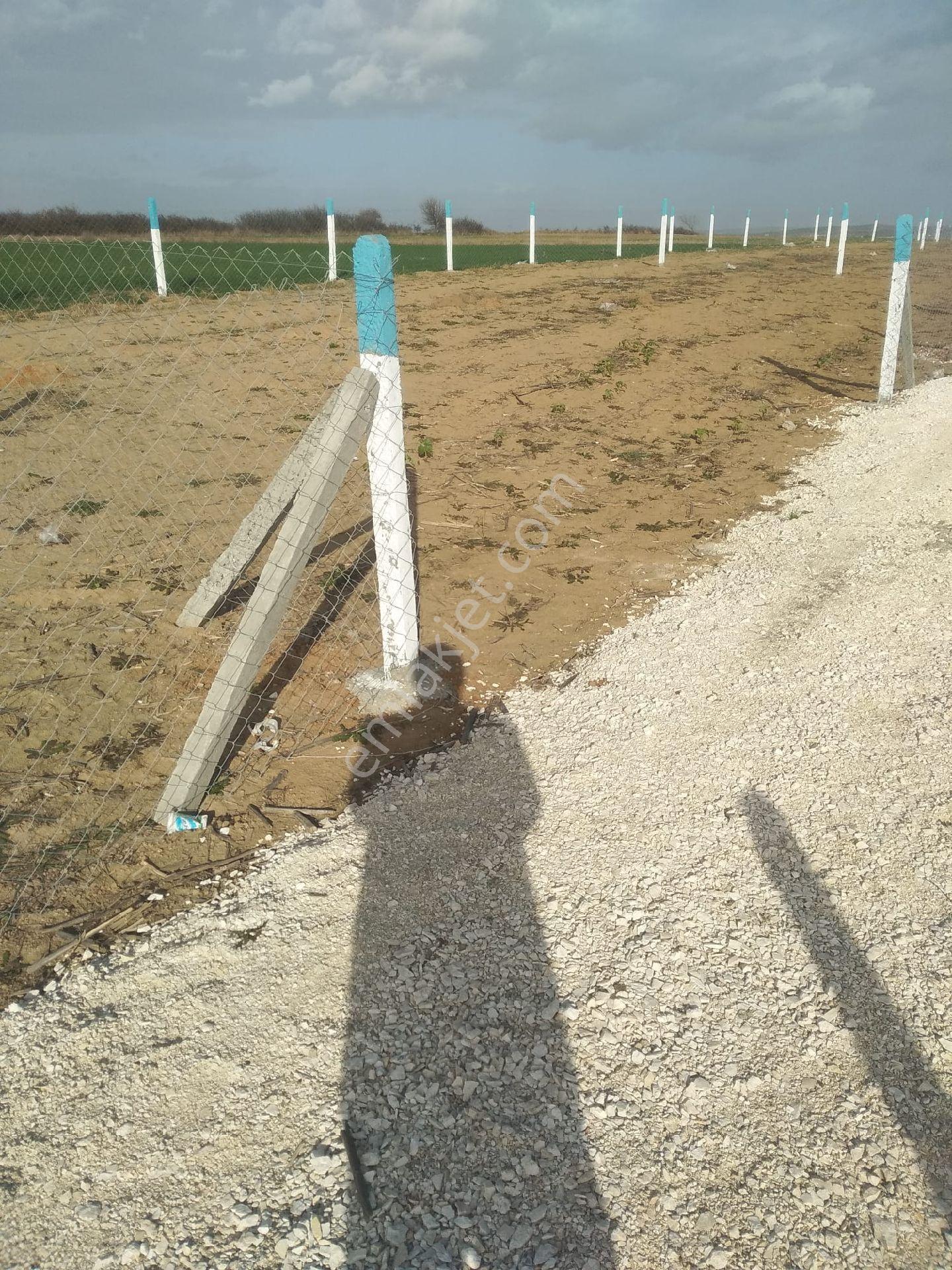 Tekirdağ Sarayda Yatırımlık Tarla - Görsel 7