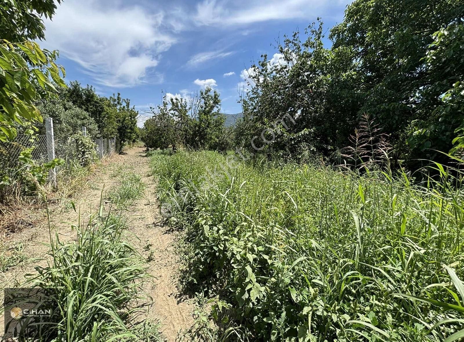 Kuşadası Kirazlı Satılık Tarla KUŞADASI KIRAZLI KÖYÜ içinde 500m2 tarla