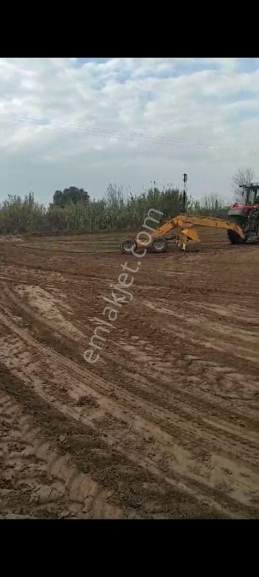 Nazilli Yalınkuyuda Satılık 5.200 M2 Bahçe - Görsel 5