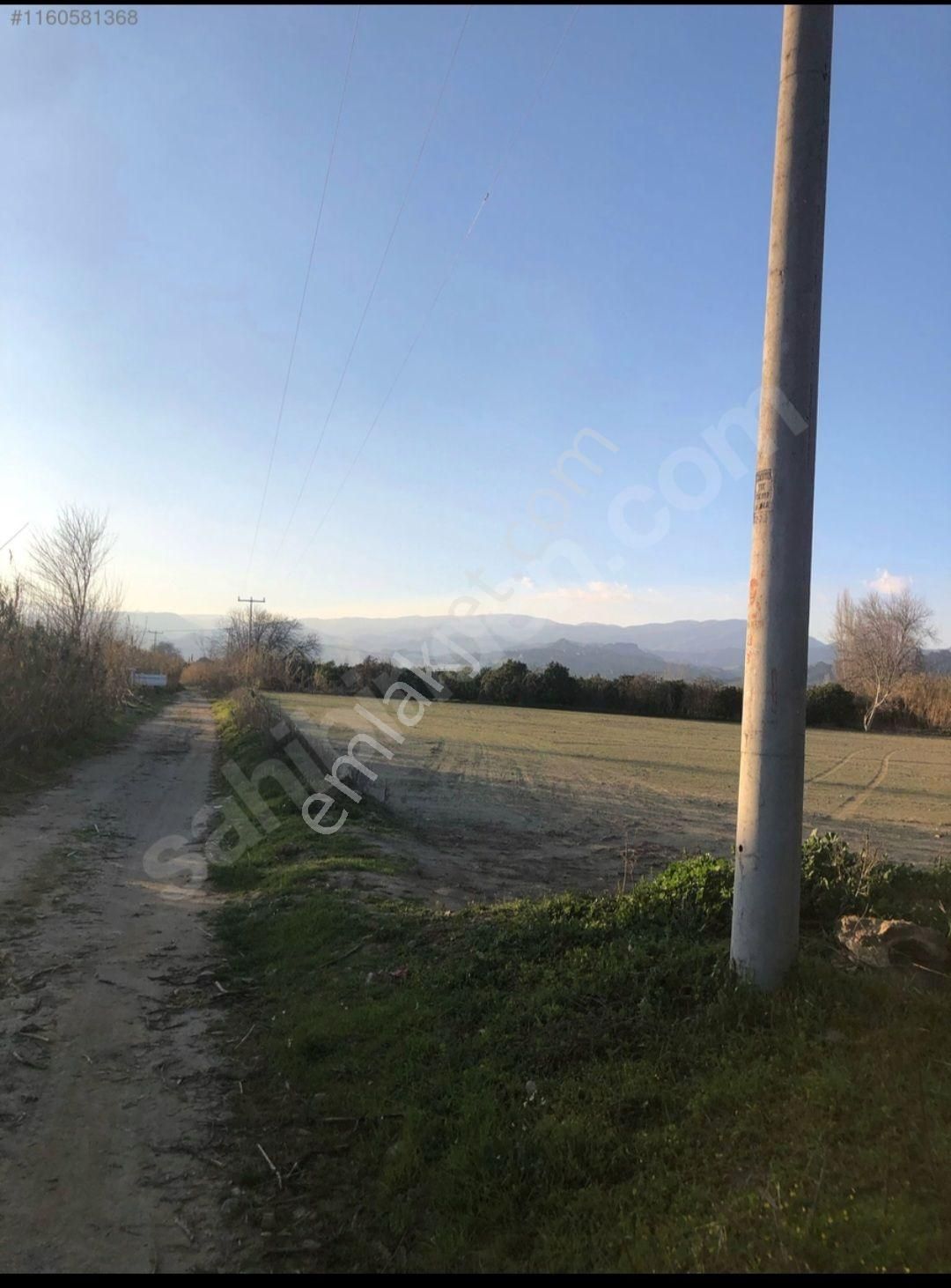 Nazilli Yalınkuyuda Satılık 5.200 M2 Bahçe - Görsel 7