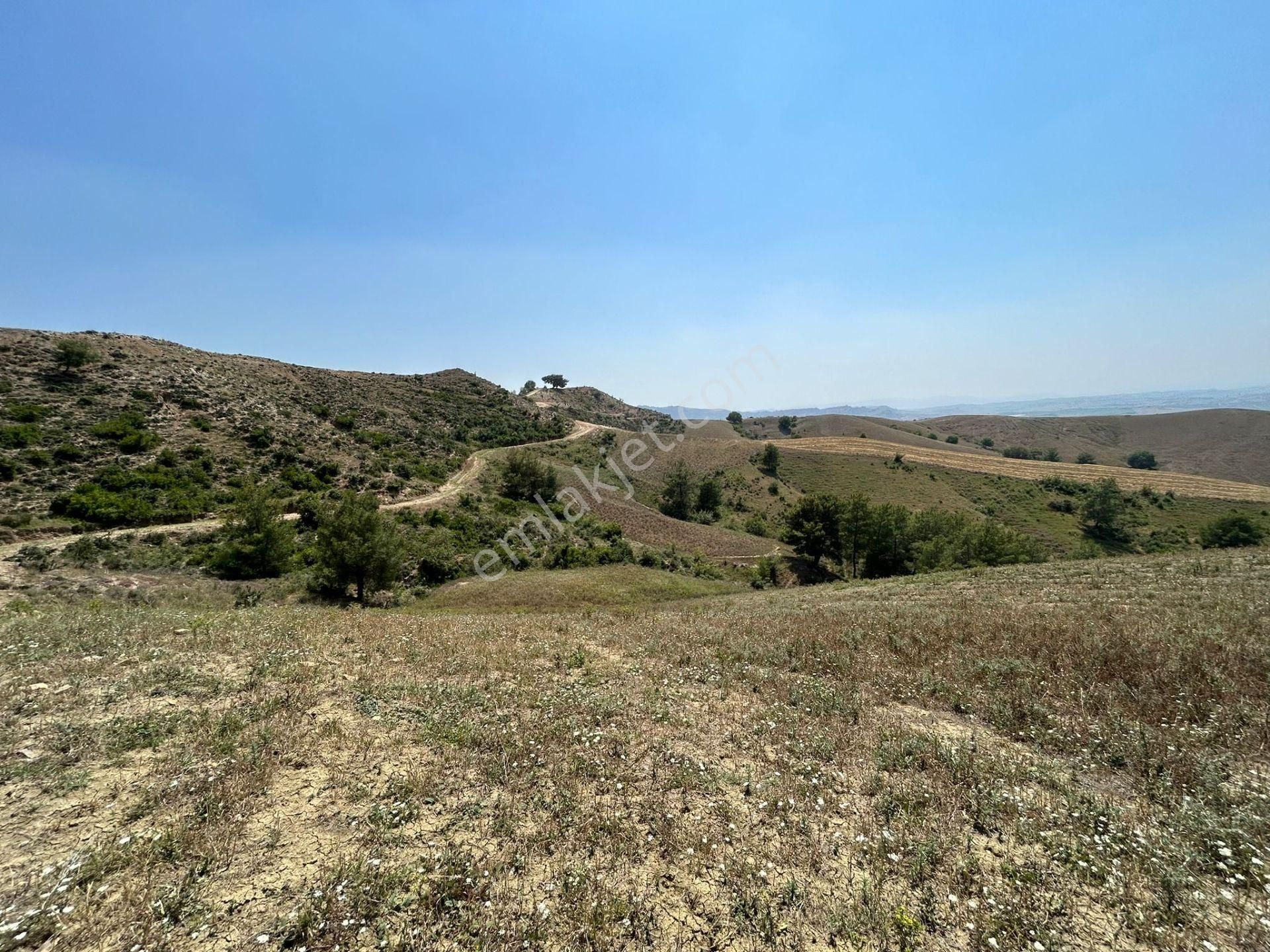 Karaisalı Kuzgun Satılık Tarla Kuzgun'da Tepe Konumda 10171metre Arazi