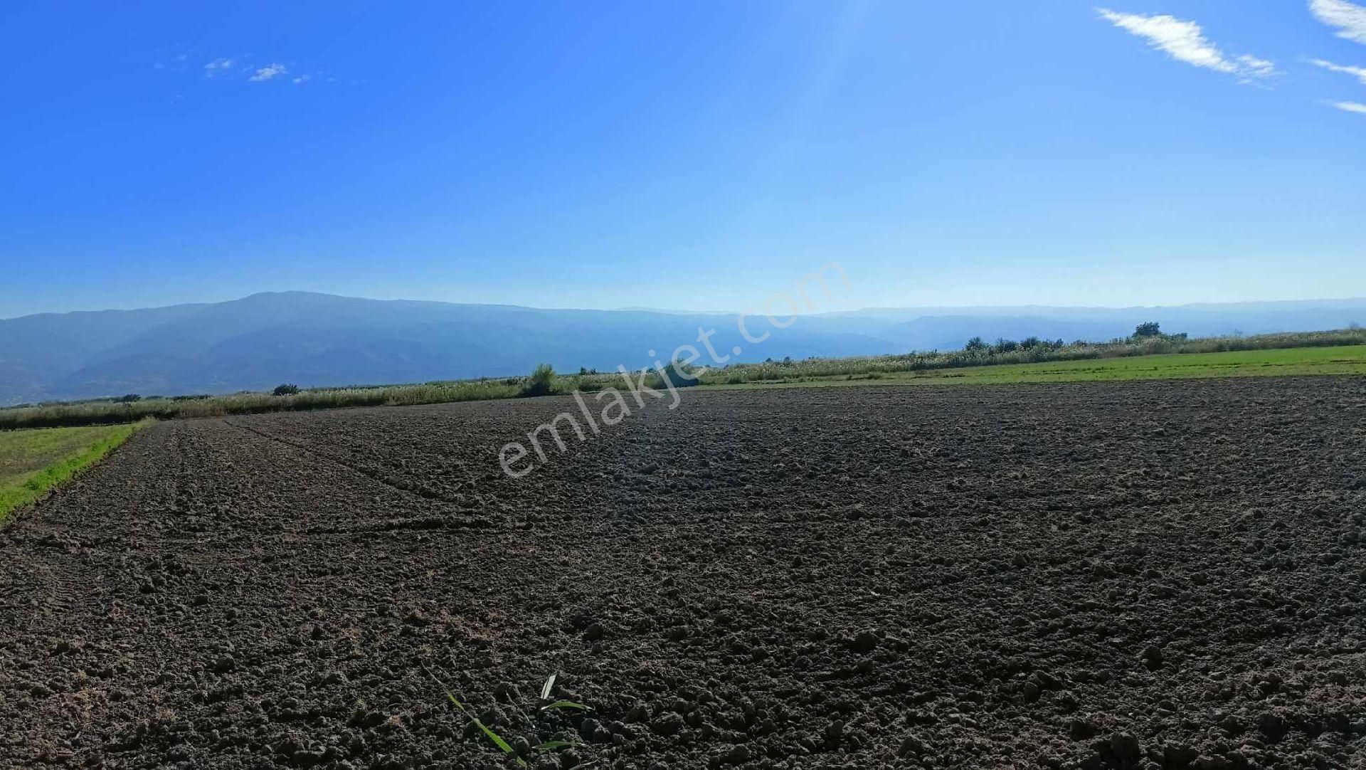 Sultanhisar Atça Satılık Tarla ATÇA'DA 10.5 DÖNÜM SU KENARINDA VERİMLİ ARAZİ  