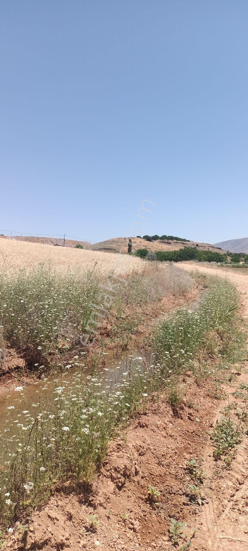 Yeşilyurt İnönü Satılık Tarla Malatya bölgesinde uygun araziler