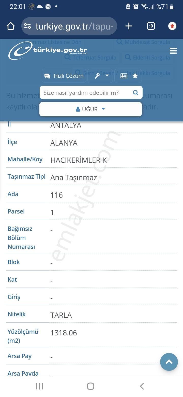 Alanya Hacıkerimler Satılık Tarla Satılık tarla 