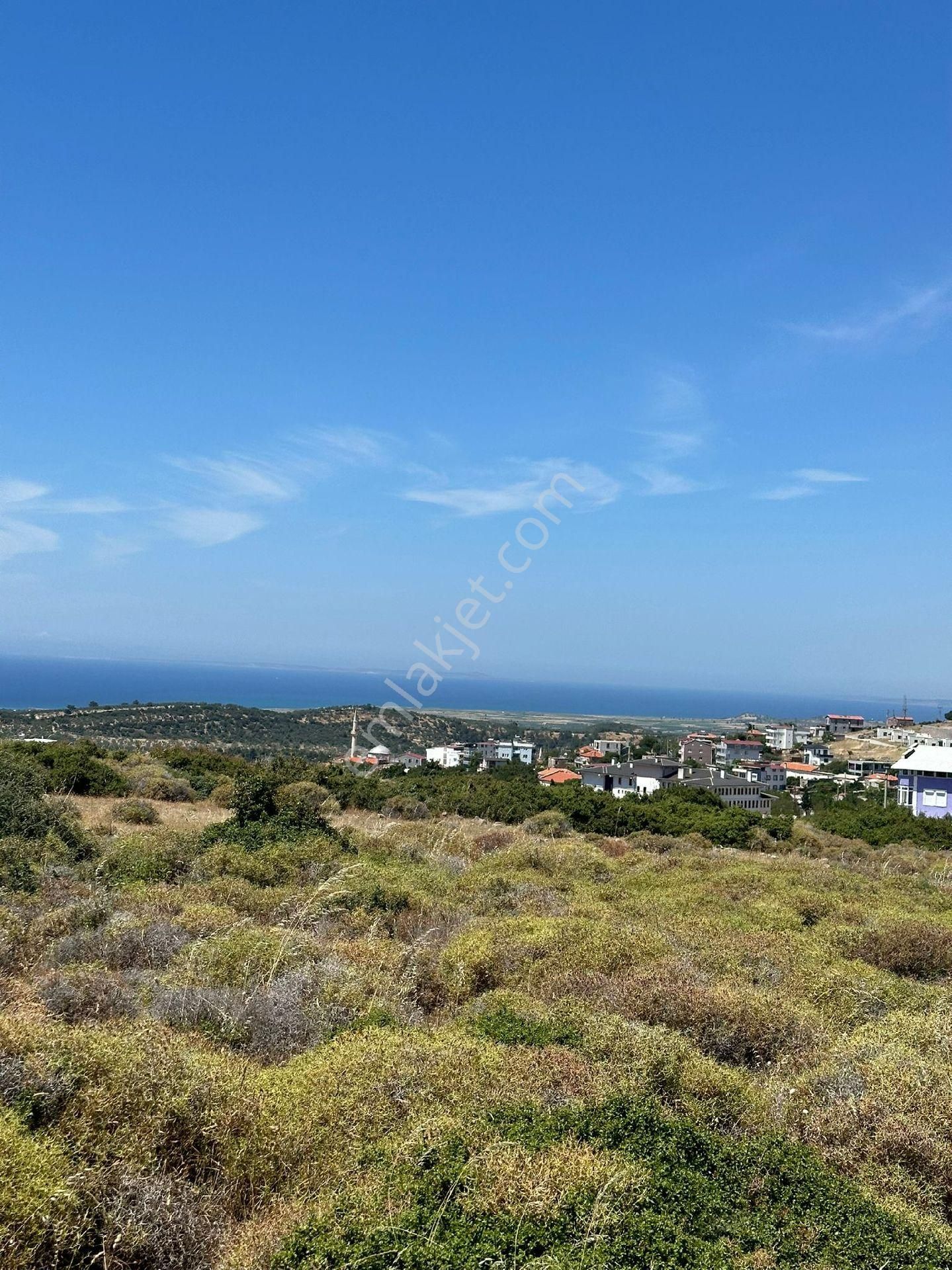 Ayvacık Gülpınar Köyü (Atatürk) Satılık Villa İmarlı Çanakkale Ayvacık Gülpınar da villa imarlı arsa 