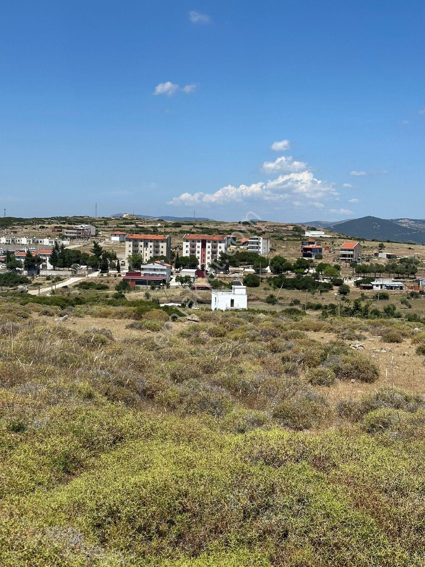 Ayvacık Gülpınar Köyü (Atatürk) Satılık Villa İmarlı Çanakkale Ayvacık Gülpınar da villa imarlı arsa 
