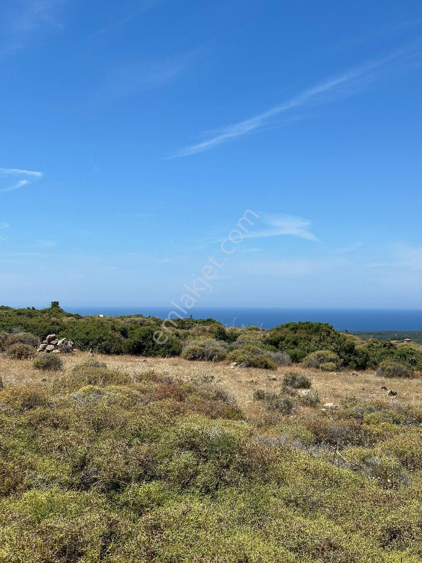 Ayvacık Gülpınar Köyü (Atatürk) Satılık Villa İmarlı Çanakkale Ayvacık Gülpınar da villa imarlı arsa 