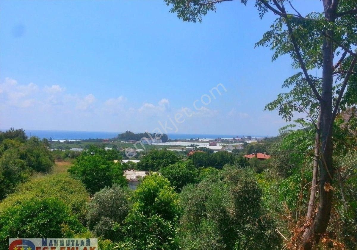 Alanya Yeşilöz'de Deniz Manzaralı 900 M2. Deniz Gören Arsa- Daire İle Takas - Görsel 13