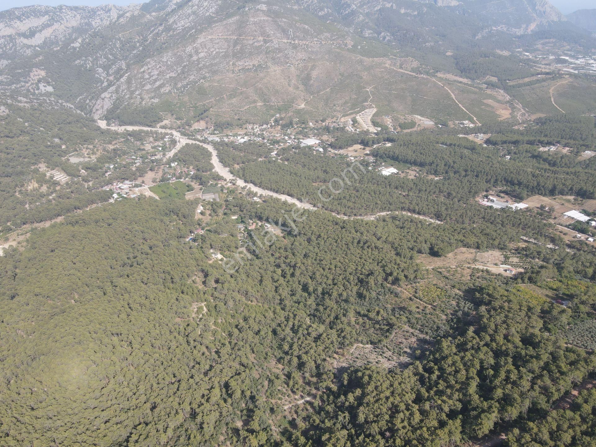 Bmk Emlaktan Antalya Kumluca Yazır Da Satılık Zeytin Bahçesi - Görsel 16