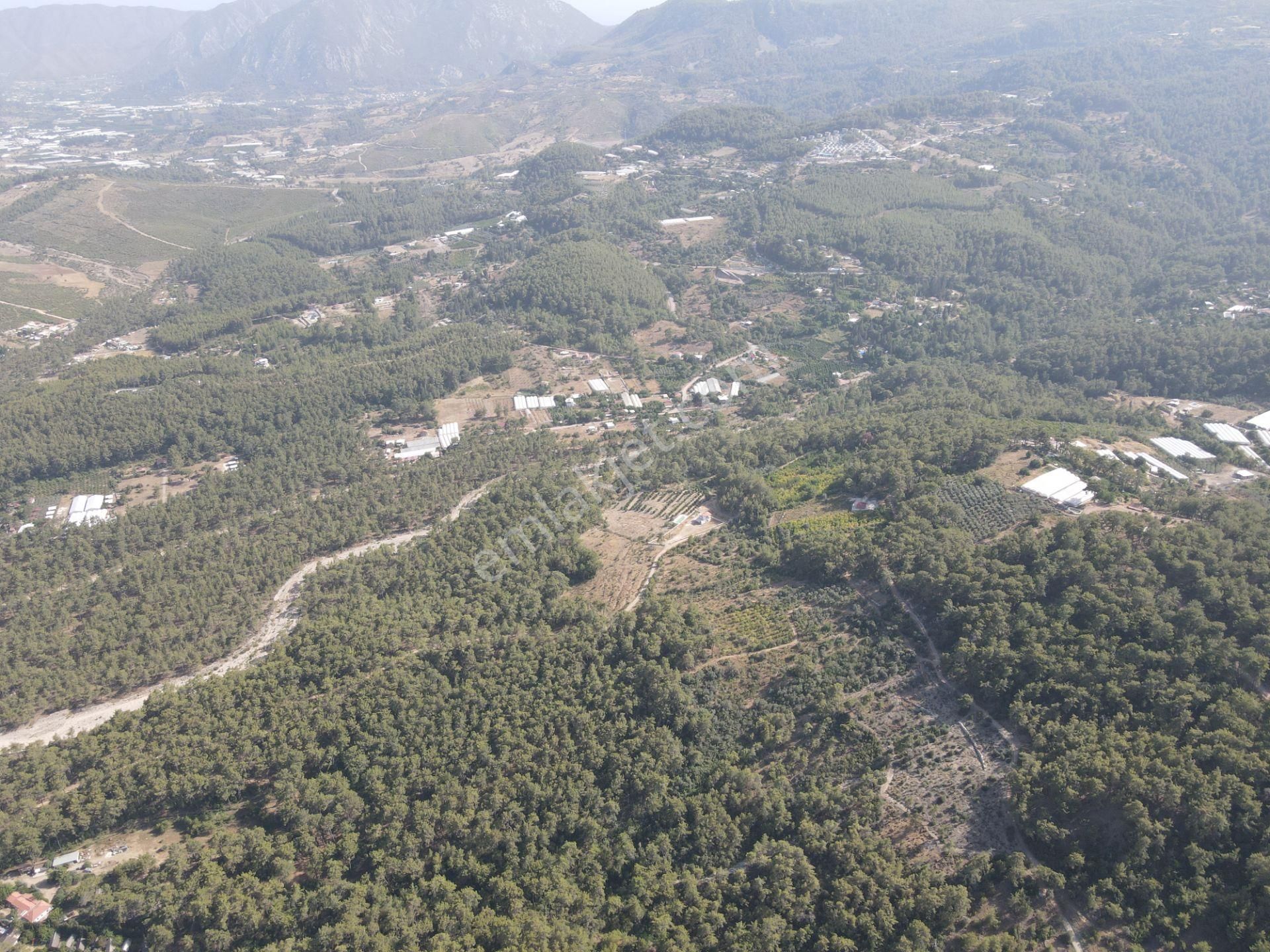 Bmk Emlaktan Antalya Kumluca Yazır Da Satılık Zeytin Bahçesi - Görsel 21