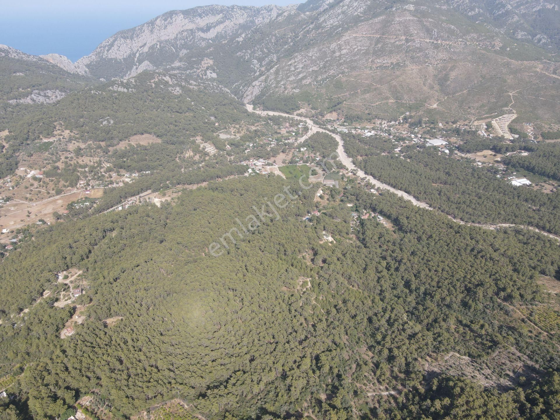 Bmk Emlaktan Antalya Kumluca Yazır Da Satılık Zeytin Bahçesi - Görsel 18